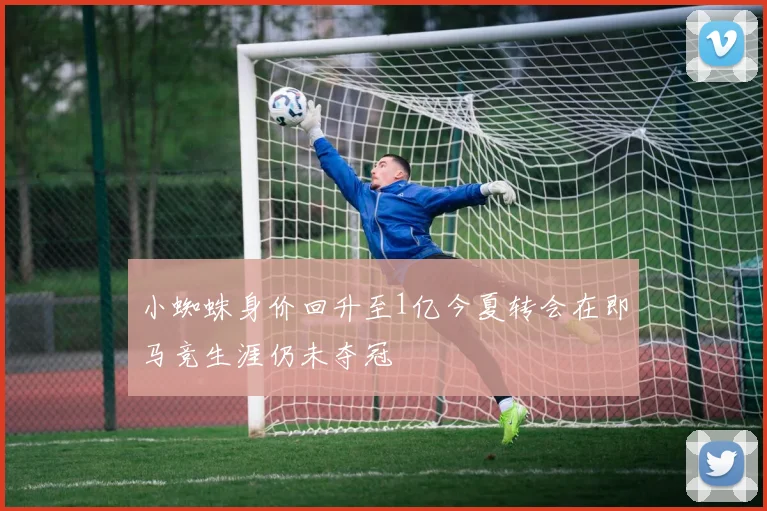 小蜘蛛身价回升至1亿今夏转会在即马竞生涯仍未夺冠