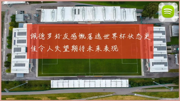佩德罗好友感慨落选世界杯状态更佳令人失望期待未来表现
